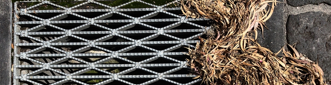 Drain grid and some leaves